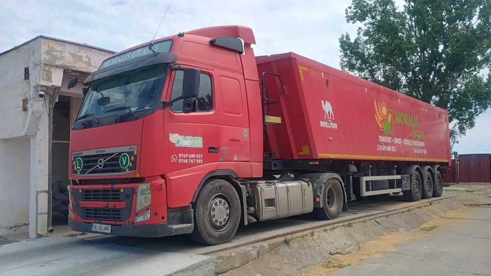Semiremorca MORALIS GRAINS pe cântar, cu hala de depozitare a bazei în plan îndepărtat