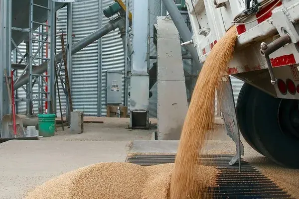 Cereale descărcate lângă silozuri de depozitare